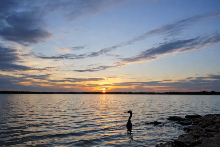 Nauka Vihar Fountain