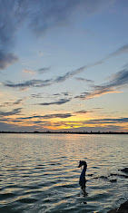 unnamed-2026-01-22T160221.584