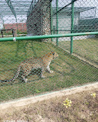 Shaheed Ashfaq Ullah Zoo